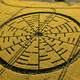 Illustration for article titled Aliens Leave a Pop Quiz In a Rapeseed Field